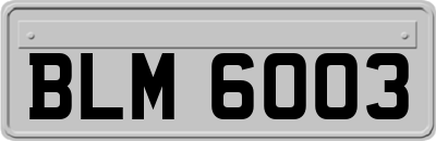 BLM6003
