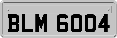 BLM6004