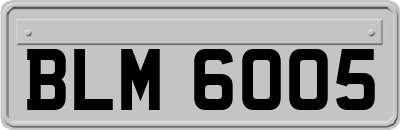 BLM6005