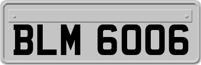 BLM6006