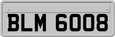 BLM6008