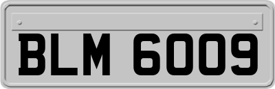 BLM6009