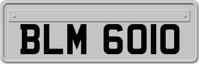 BLM6010
