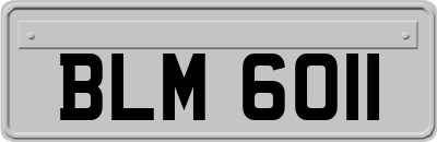 BLM6011