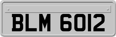 BLM6012