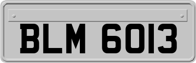 BLM6013