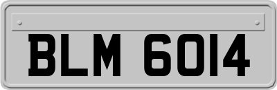 BLM6014
