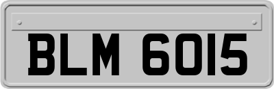 BLM6015