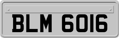 BLM6016