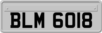 BLM6018