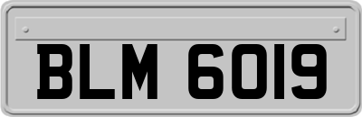 BLM6019