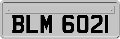 BLM6021