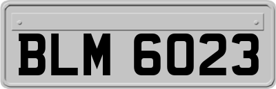 BLM6023
