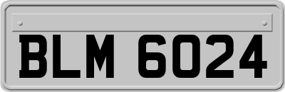 BLM6024