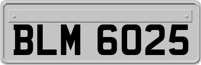 BLM6025