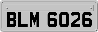 BLM6026