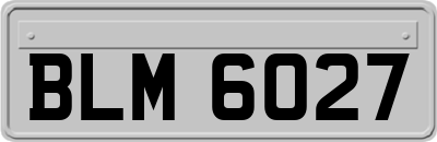 BLM6027