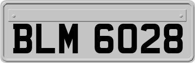 BLM6028