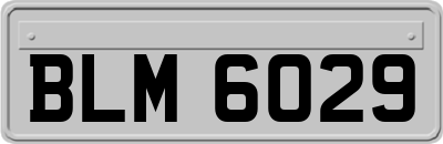 BLM6029