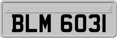 BLM6031