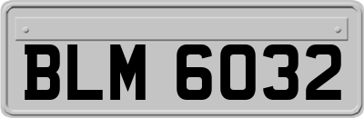 BLM6032