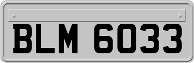 BLM6033