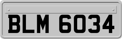 BLM6034