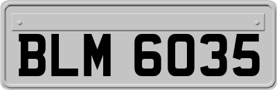 BLM6035