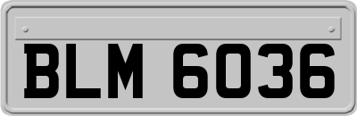 BLM6036