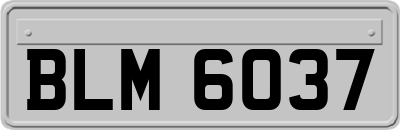 BLM6037