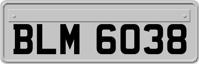 BLM6038