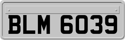 BLM6039