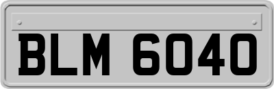 BLM6040