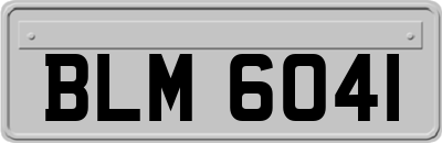BLM6041