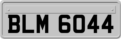 BLM6044