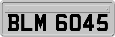 BLM6045