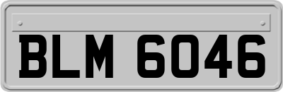 BLM6046