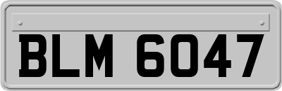 BLM6047