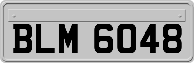 BLM6048