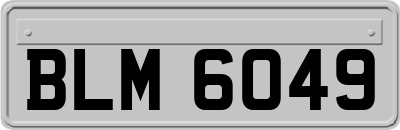 BLM6049