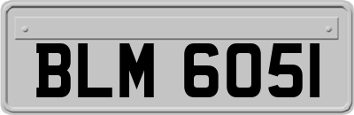 BLM6051