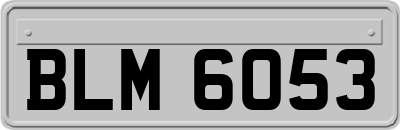BLM6053