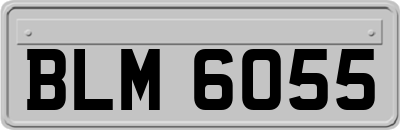 BLM6055