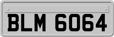 BLM6064
