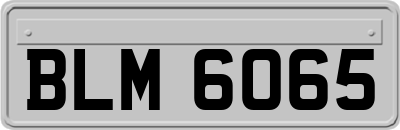 BLM6065
