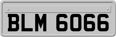 BLM6066