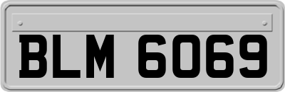 BLM6069