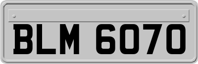 BLM6070