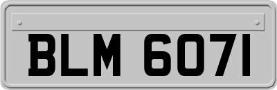 BLM6071