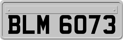 BLM6073